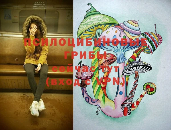 ешки Верея